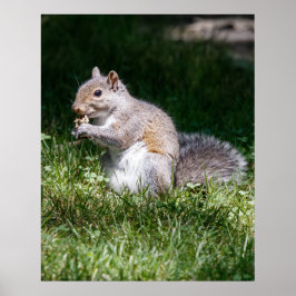 Chewing on it poster