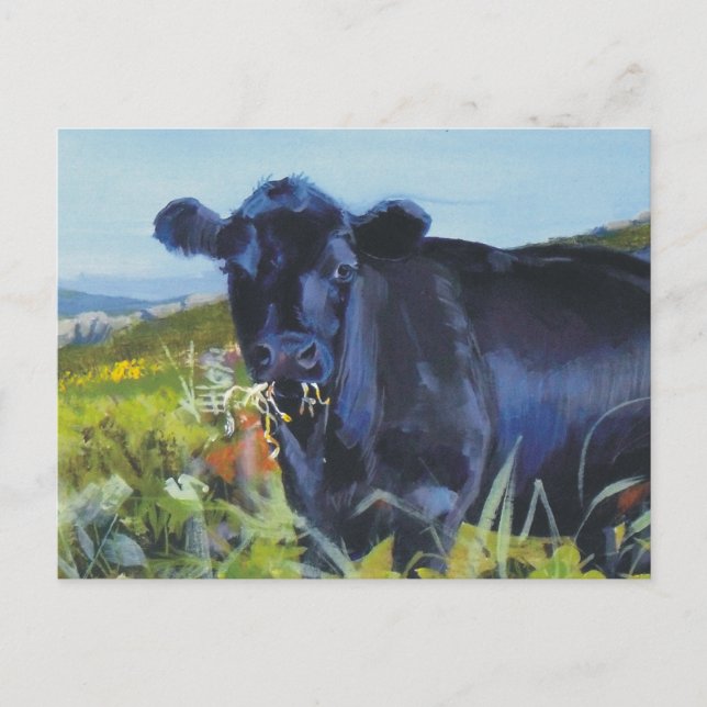 Chewing the cud vykort (Framsida)