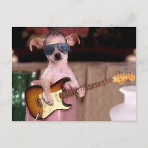 Chi Chi Chi Guitar Player Vykort