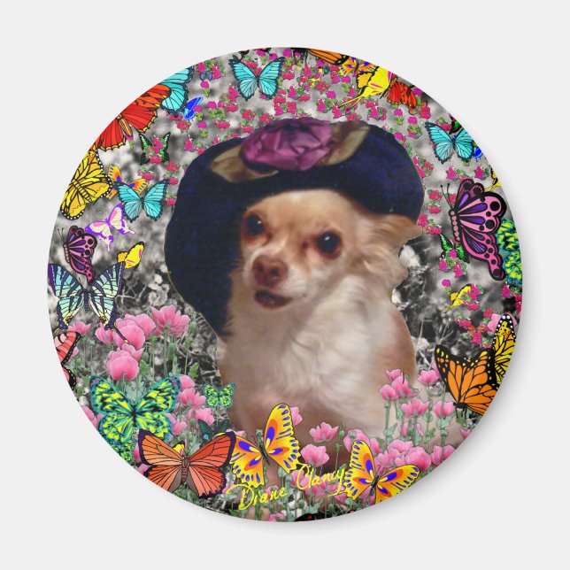 Chi Chi in Butterflies - Chihuahua Magnet (Framsidan)
