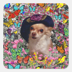 Chi Chi in Butterflies - Chihuahua Puppy in Hat Fyrkantigt Klistermärke