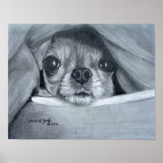 Chi Cuddle Time Poster (Framsidan)