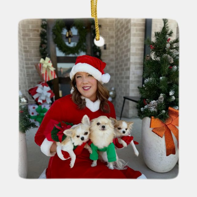 Chi House-Räddingen, jul Ornament 2024 (Framsida)