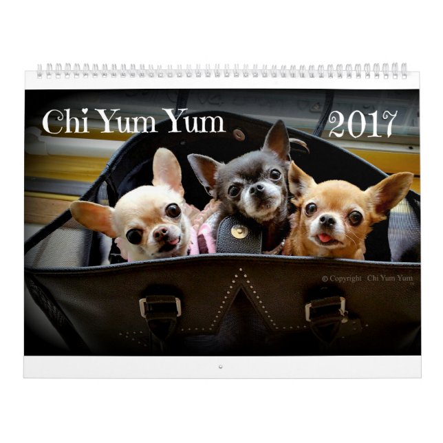 Chi Yum Yum 2017-kalender Kalender (Omslag)