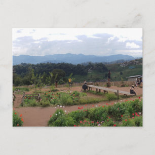 Chiang Mai Thailand Vykort