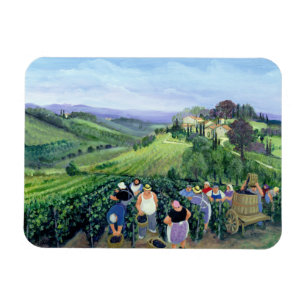 Chianti landskap magnet