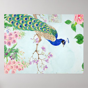 Chibi Peacock Peacock Älskare Peacock Älskar Poster