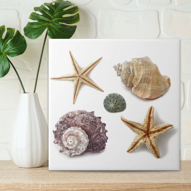 chic av kuststrandstranden, säsongsbetonad stjärtf kakelplatta (rustic coastal beach chic seashell starfish ceramic tile)