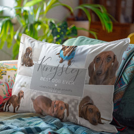 Chic Bästa Hund någonsin | Fotokollage Pet-förlust Prydnadskudde