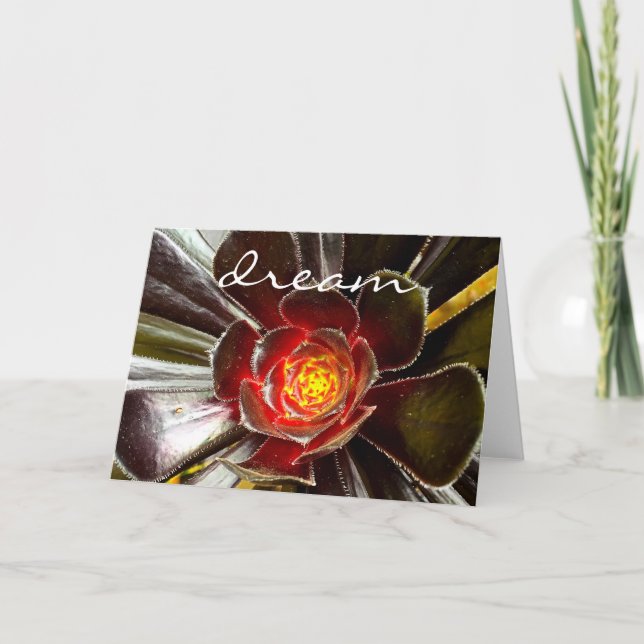 Chic Black Orange Cactus Succulent Photo "Dream" Kort (Framsida)
