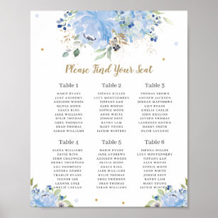 Chic Blue Balloons Blommigt Boy Baby Shower Sittar Poster