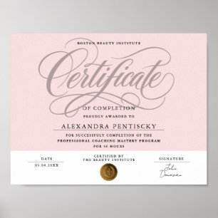 Chic Blush Rosa Professionell Certifikat Skönhet Poster