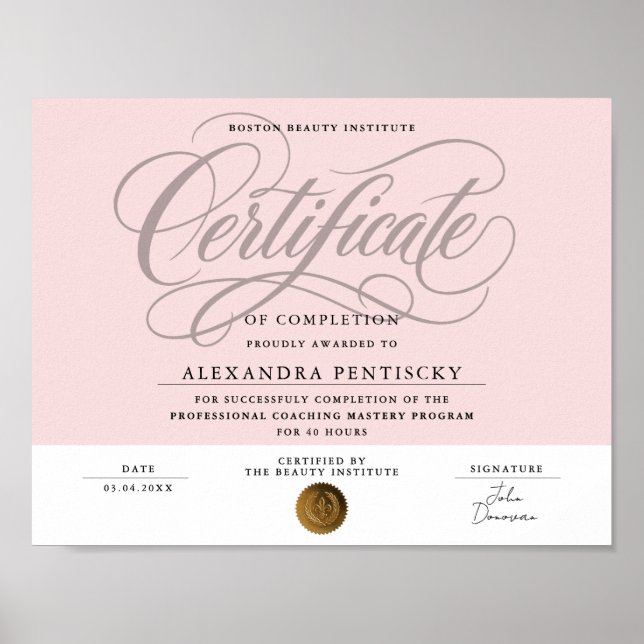 Chic Blush Rosa Professionell Certifikat Skönhet Poster (Framsidan)