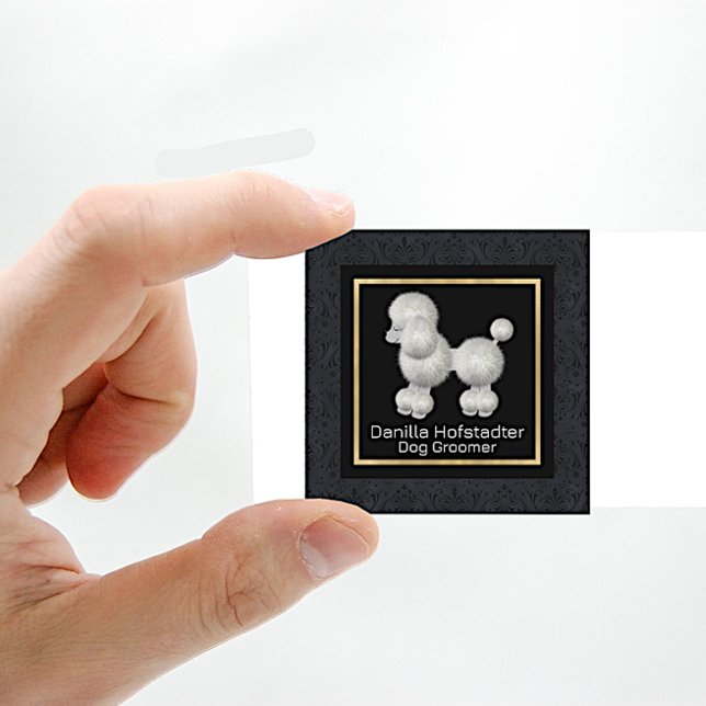 Chic Damask Hund Groomer Fyrkantigt Visitkort (Skapare uppladdad)
