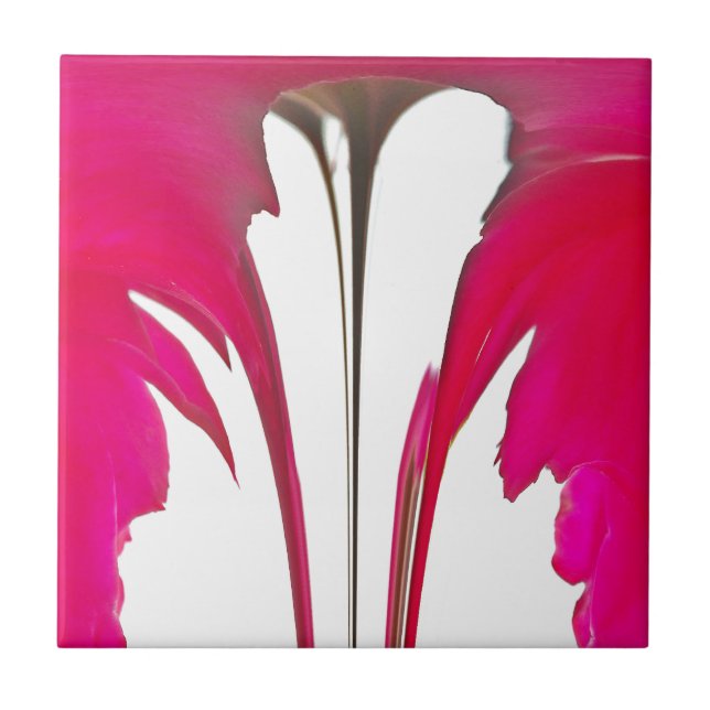 Chic fantastisk Röd ros under det vita himlar Kakelplatta (Framsidan)