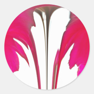 Chic fantastisk Röd ros under vita himlar.png Runt Klistermärke