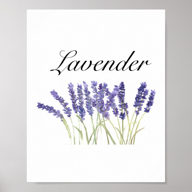 Chic för lila av örter för vattenfärgen Lavender-b Poster (Framsidan)