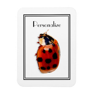 Chic har spelat Ladybug med Namn Magnet