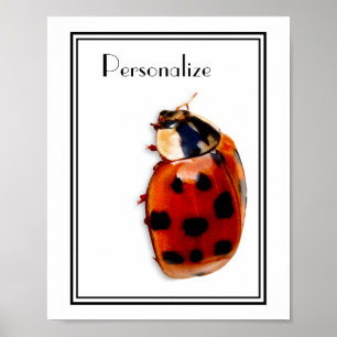 Chic har spelat Ladybug med Namn Poster