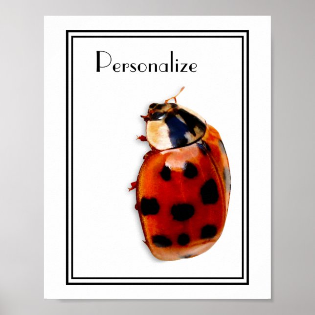 Chic har spelat Ladybug med Namn Poster (Framsidan)