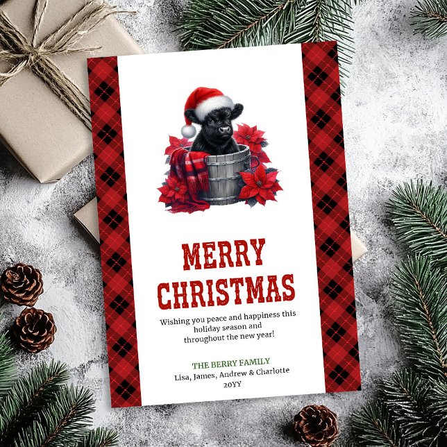 Chic highland cow card pine branches and holly julkort (Chic highland cow card pine branches and holly

)
