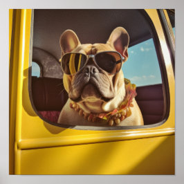 Chic Hund Elegance: Snyggt Fransk Bulldog Poste Po Poster
