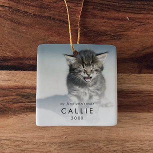 Chic Kattens första julfoto Julgransprydnad Keramik