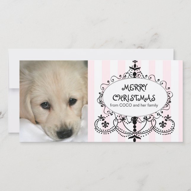 Chic kort för foto för ljuskronahundjul (Framsida)