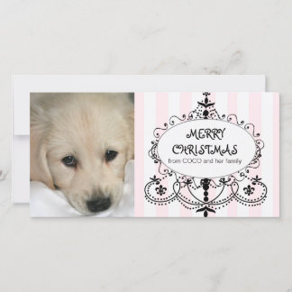 Chic kort för foto för ljuskronahundjul