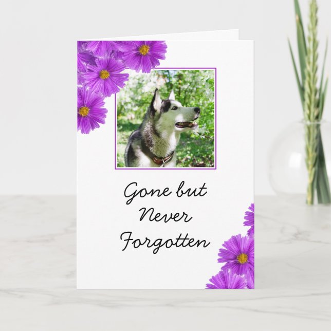 Chic Lila blommor Pet Photo Sympathy Kort (Framsida)