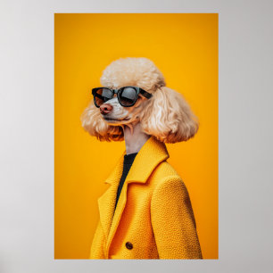 Chic Pudel i solglasögon och Gult Jackar Poster