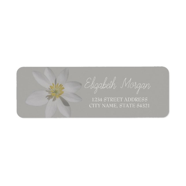 Chic Romantic White Daisy Address Label Returadress Etikett (Framsidan)