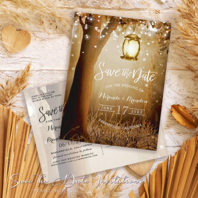 Chic Rustic Land String Ljus Spara datum Meddelande Vykort (Skapare uppladdad)