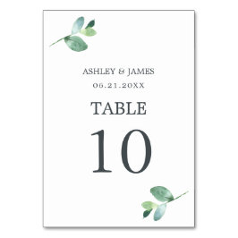 Chic Script Eucalyptus Foliage Minimal Bröllop Bordsnummer
