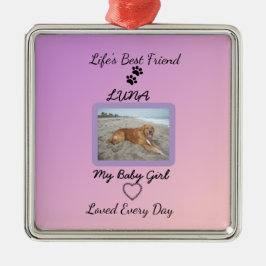 Chic Seasonal Companion Keepsake Julgransprydnad Metall