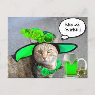 CHIC ST.PATRICK'S DAY CAT,GRÖNT RO,IRISH-ÖR VYKORT