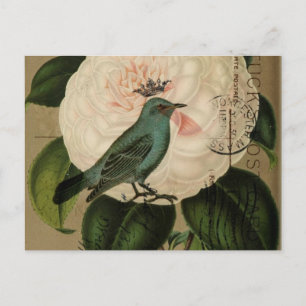 Chic Vintage Bird camellia fransk botanik konst Vykort