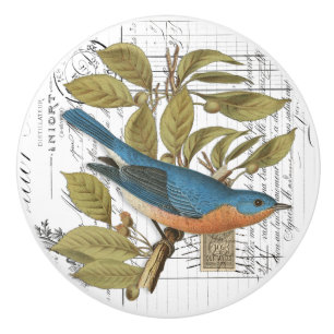 Chic Vintage Bluebird on Gren Fransk Script Knob Knopp