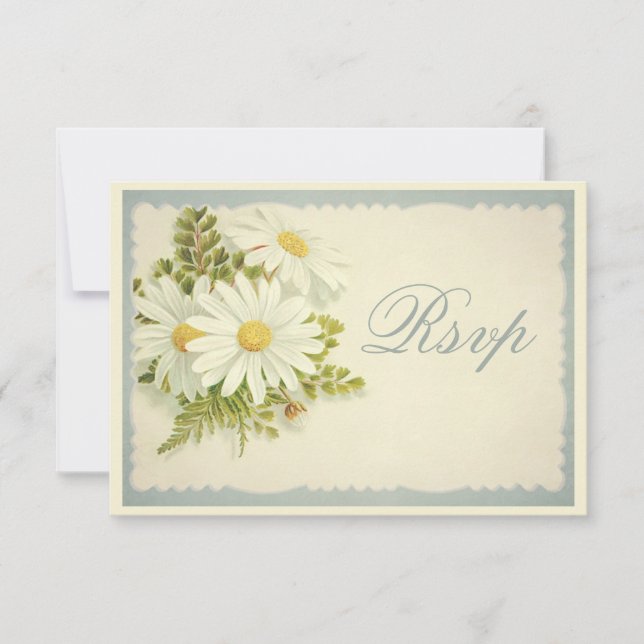 Chic Vintage Daisies RSVP OSA Kort (Framsida)