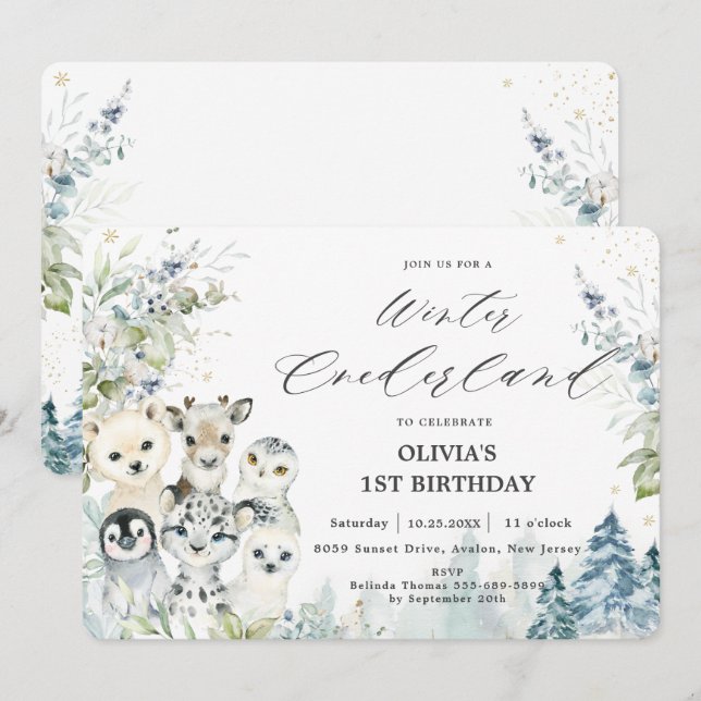 Chic Vinterarktiska djur i Nederländerna Första fö Inbjudningar (Fram/baksida)