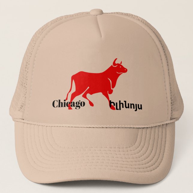 Chicago, Ի լ ի ն ո ս Truckerkeps (Framsida)