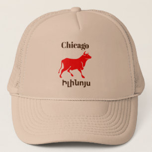 Chicago, Ի լ ի ն ո ս Truckerkeps