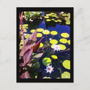 chicago botanique-trädgård vykort