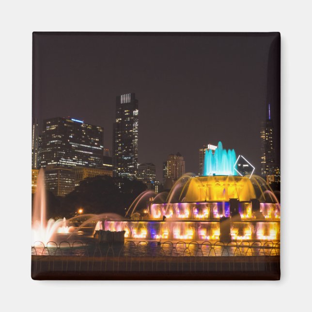 Chicago Grant Park Magnet (Framsidan)