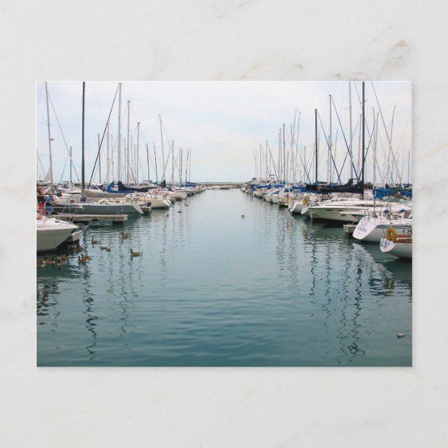 Chicago Harbour - Postkort för segelbåt Vykort (Framsida)