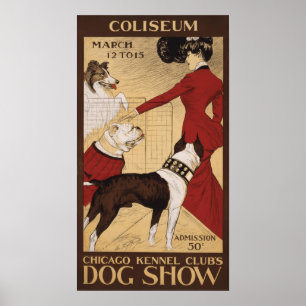 Chicago hundkojaklubb Show 1902 för hund Poster