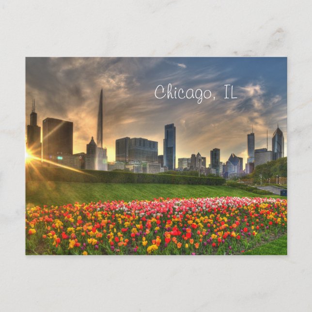 Chicago, IL Postcard Vykort (Framsida)