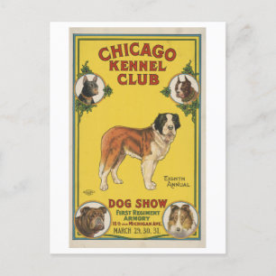 Chicago Kennel Klubb Hund Show Vintage Advertiseme Vykort