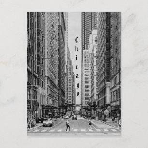 Chicago Madison Street Grayscale Postcard Vykort