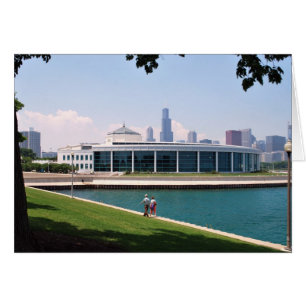 Chicago Shedd Aquarium-samling Hälsningskort